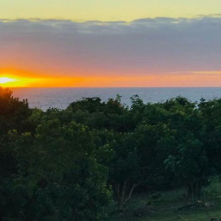 Bungalow De Charme Vue Mer Capesterre Zewnętrze zdjęcie